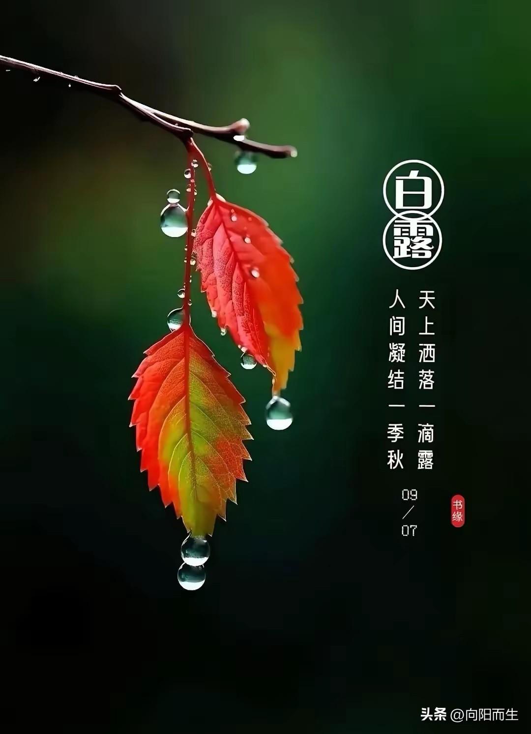 看到一句话很应景。“过去都是假的，回忆是一条没有归途的路，以往的一切春天都无法复