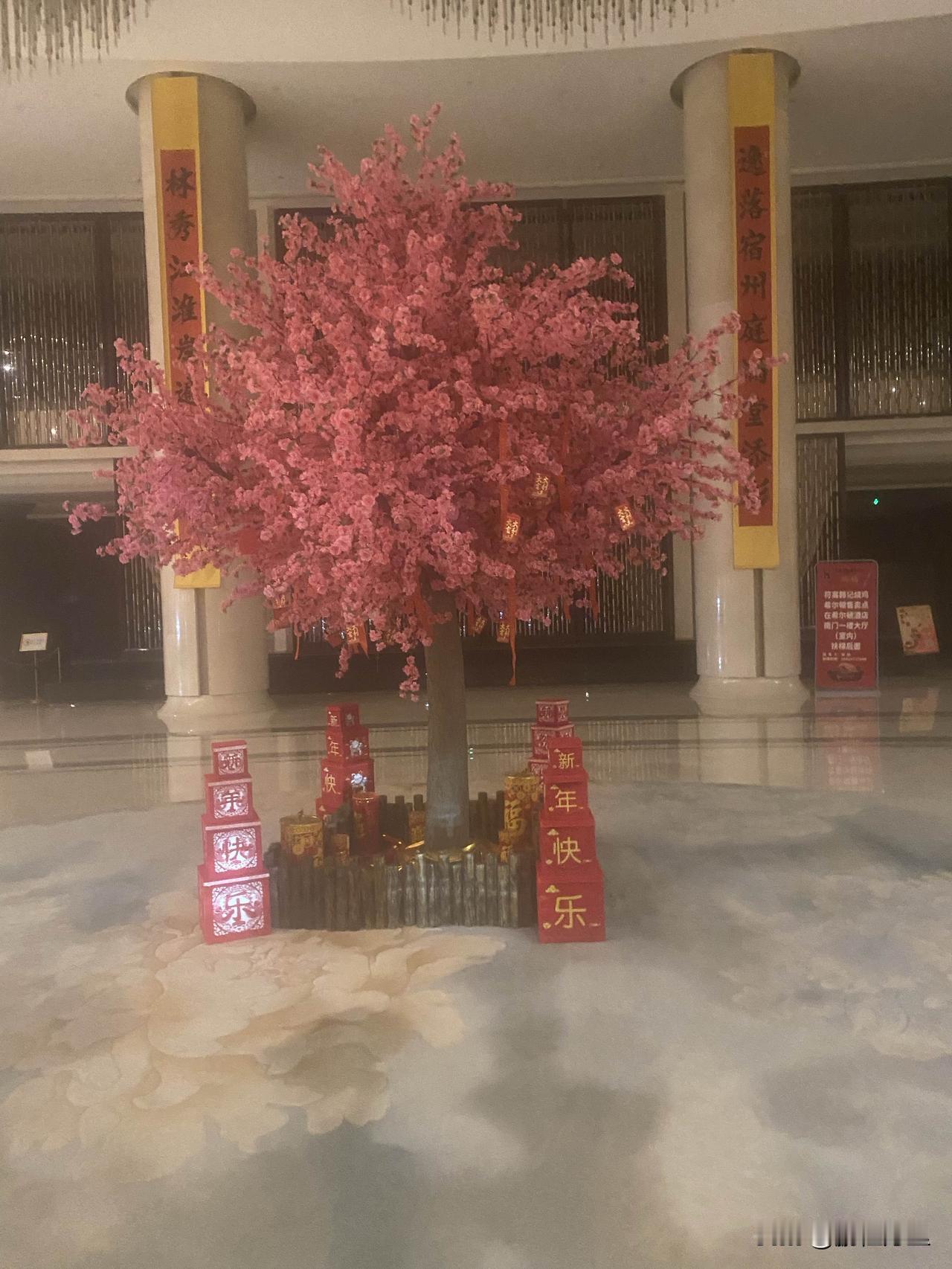 天南地北大拜年发财树，看到此树的都发大财