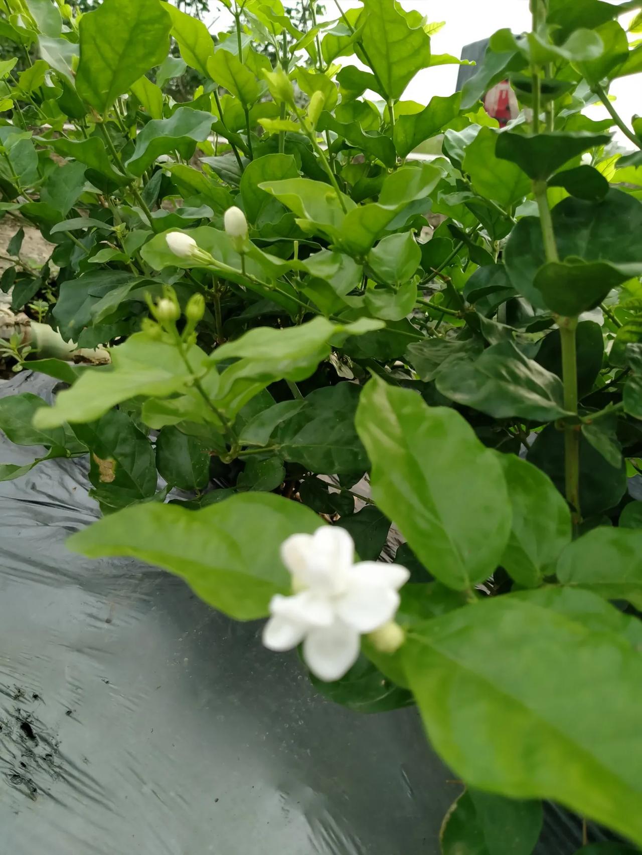 #每日一悟#观点各异，无绝对是非，莫在他人的世界里塑造自我，亦勿在自我的世界里苛