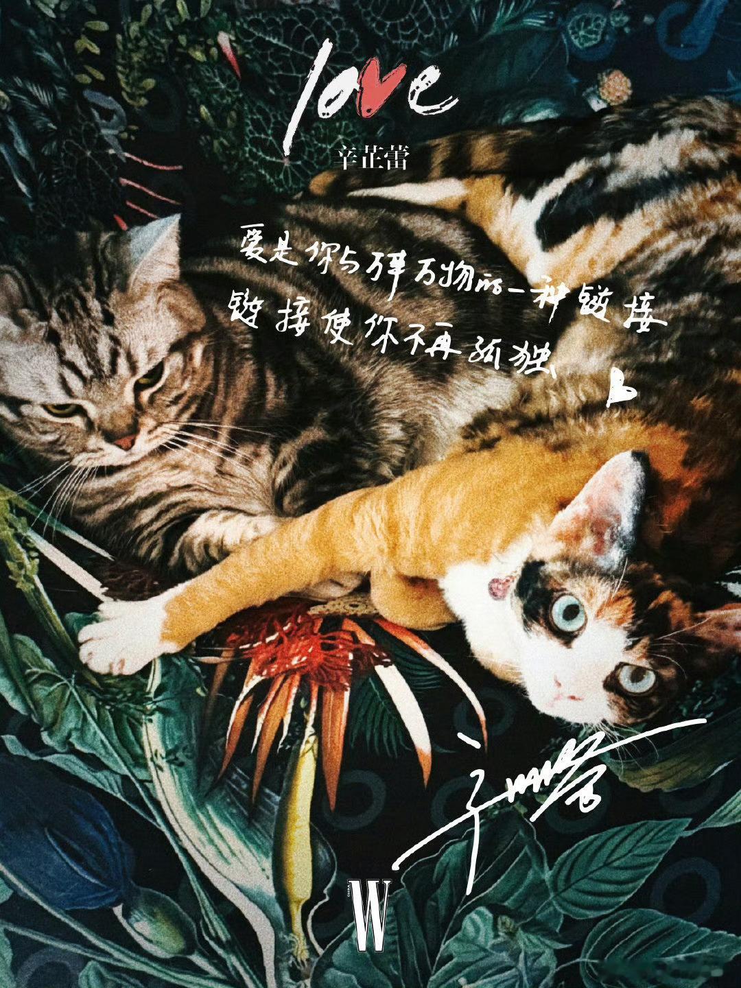 辛芷蕾 × W China 【The Love Issue】2026新刊封面预告