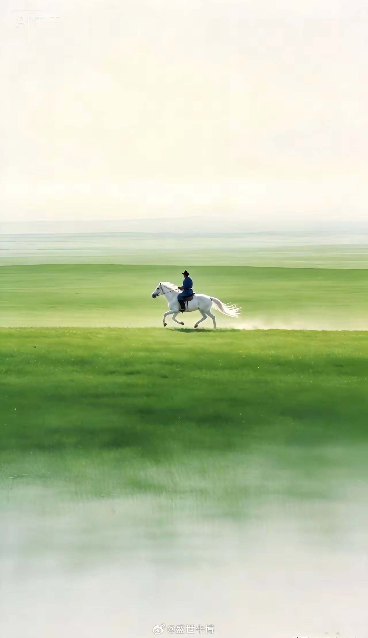 股市里只有一个真龙头，其余全是陪跑的咱们炒股一定要看清一个事实：一个板块、一波行