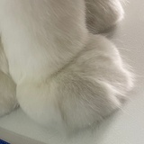 冬柱爱聚法律