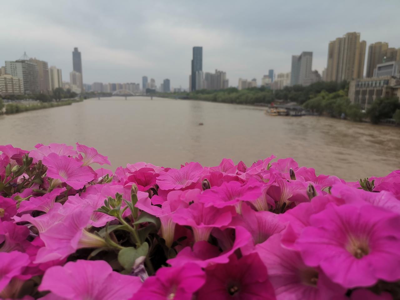 中颖电子（300327）半导体翘楚
 
公司是家电MCU国产龙头，微波炉主控全球