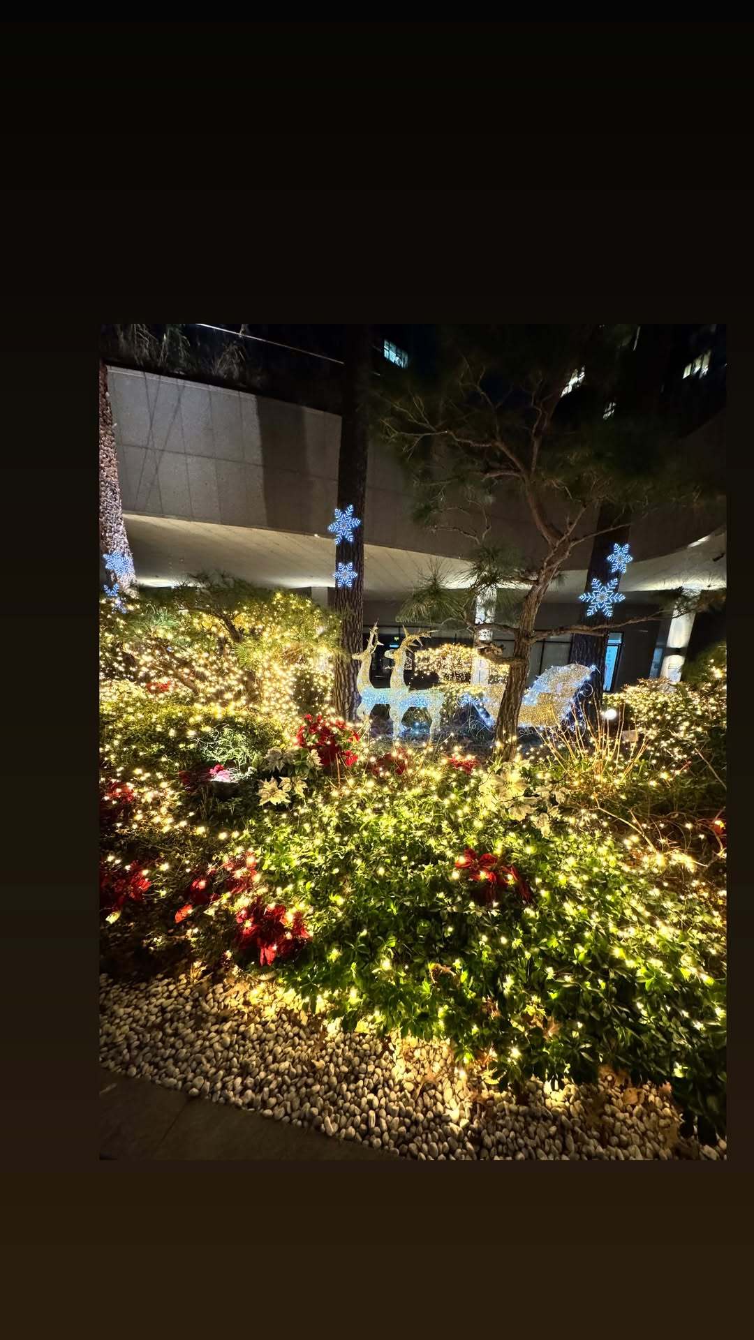 “CB百蓝_。251210利特 ins story更新： 