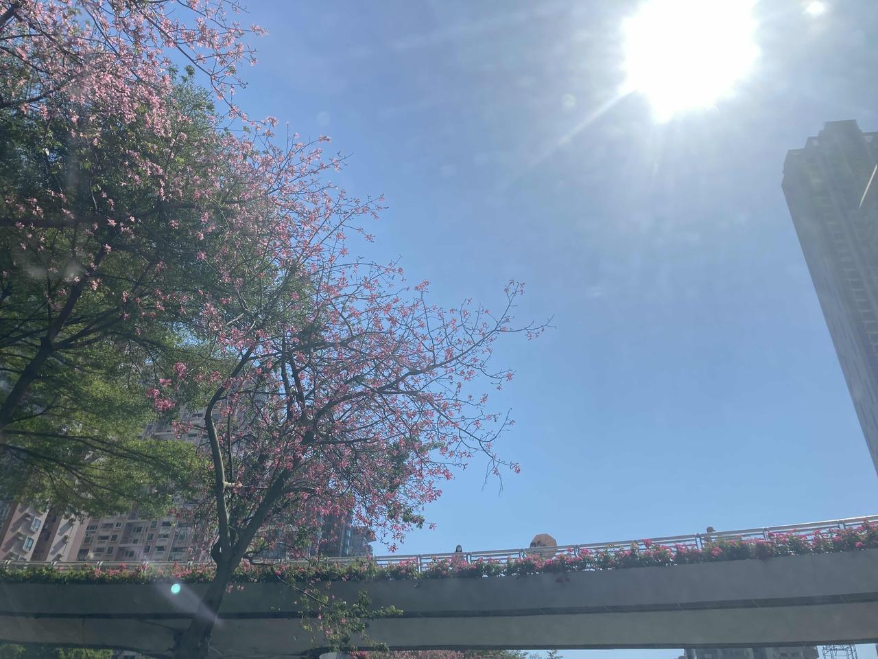 莫道君行早踏遍青山人未老，成年人就应该抛弃所有不成熟的想法。