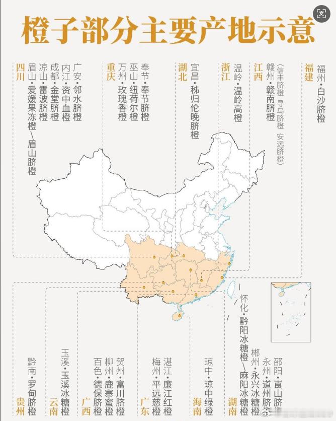 今天又新上了一种橙子，是我们宜昌本地的九月红脐橙。中国是世界橙子的主产区，各种优