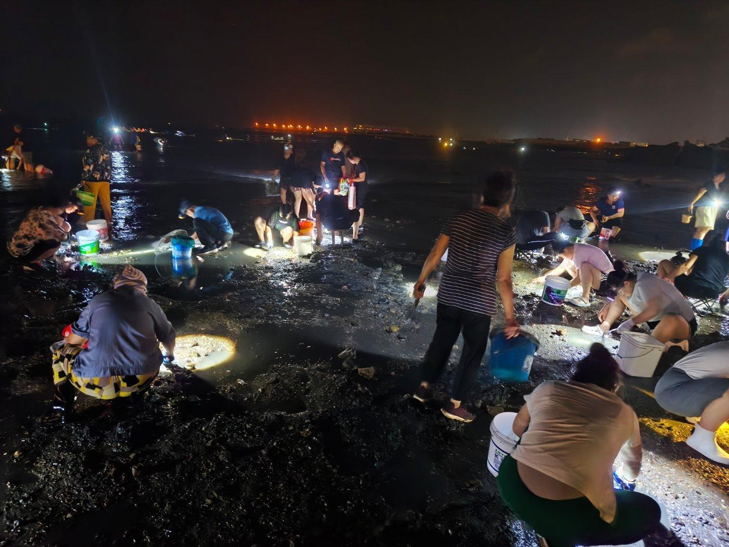沿海人夏天晚上的不用睡觉的[允悲]明天吃什么取决于今天挖到了啥 ​​​