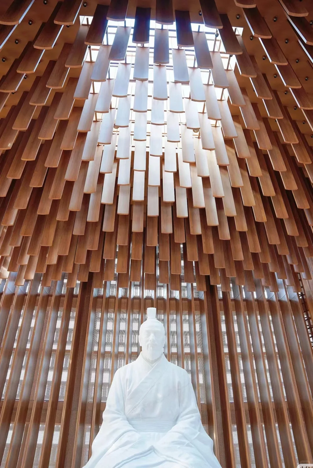 超级出片的上海奉贤一日游