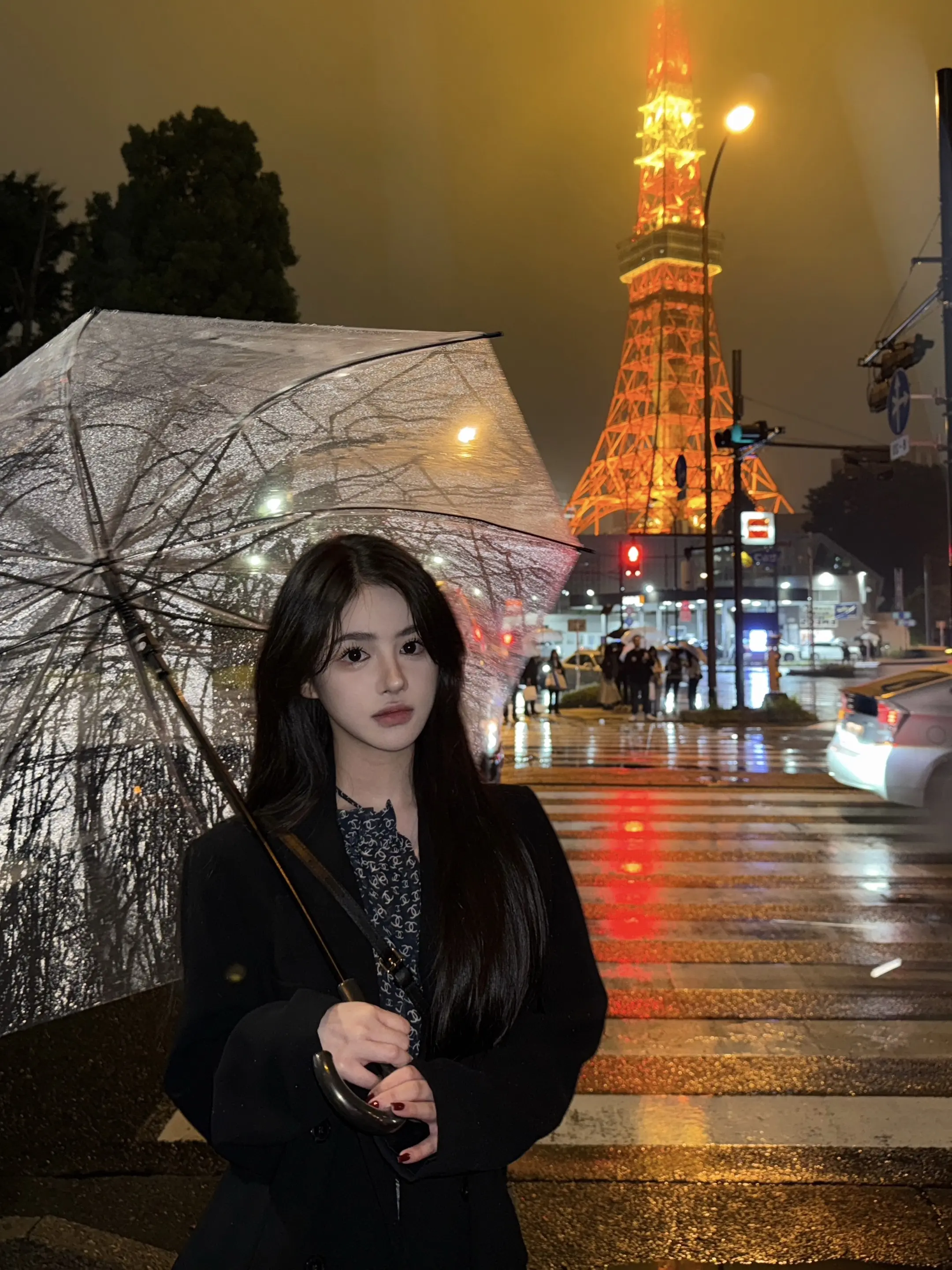Tokyo in the rain 🗼