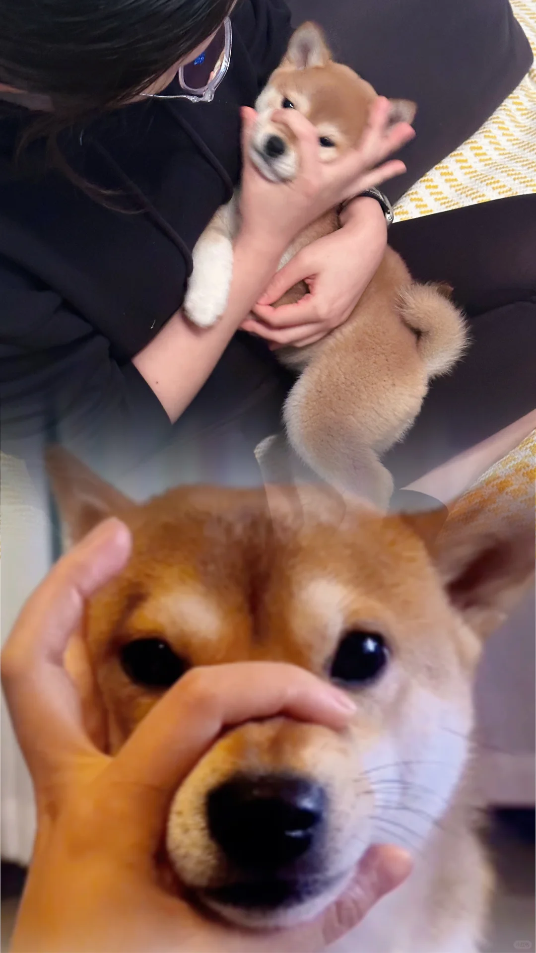 从小就揪嘴筒子