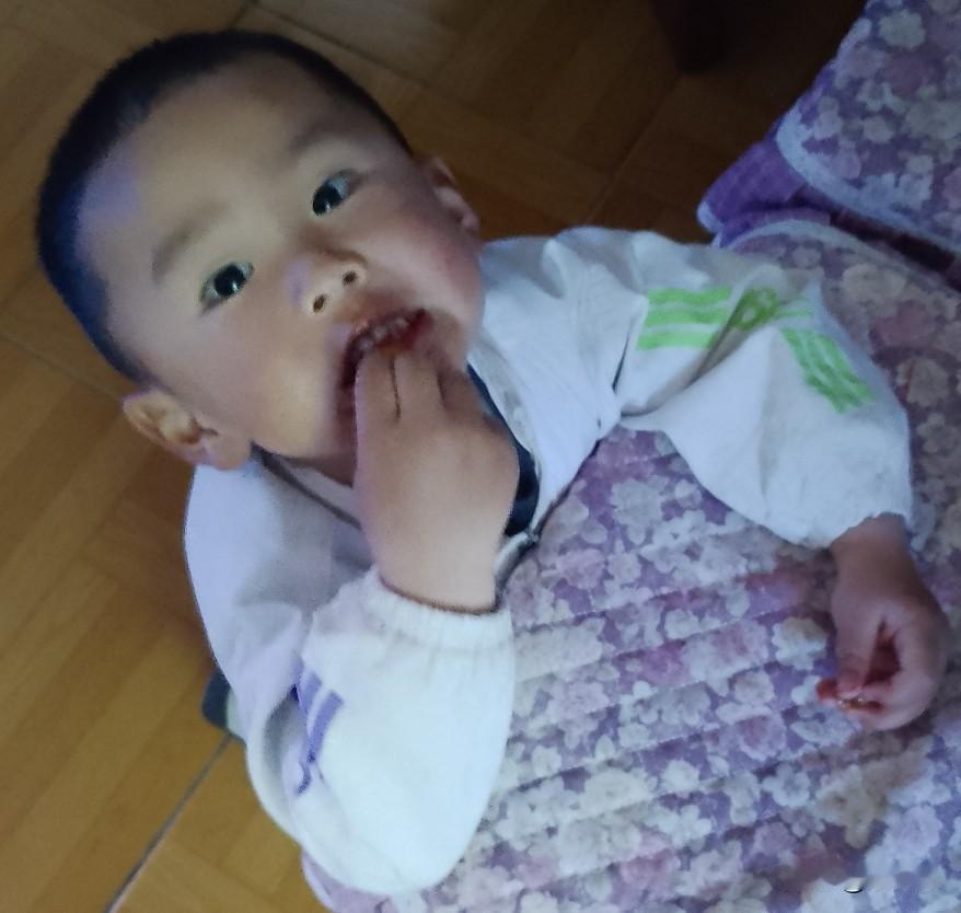 就因孙子一句话，奶奶动情话哽咽

我从乡下捉鸡回来，车还未停稳，老伴便奔我而来。