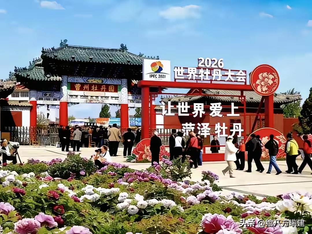 我作为一个河南人，意识里一直认为都是洛阳牡丹，看到这个消息还真是让人心里有点不舒