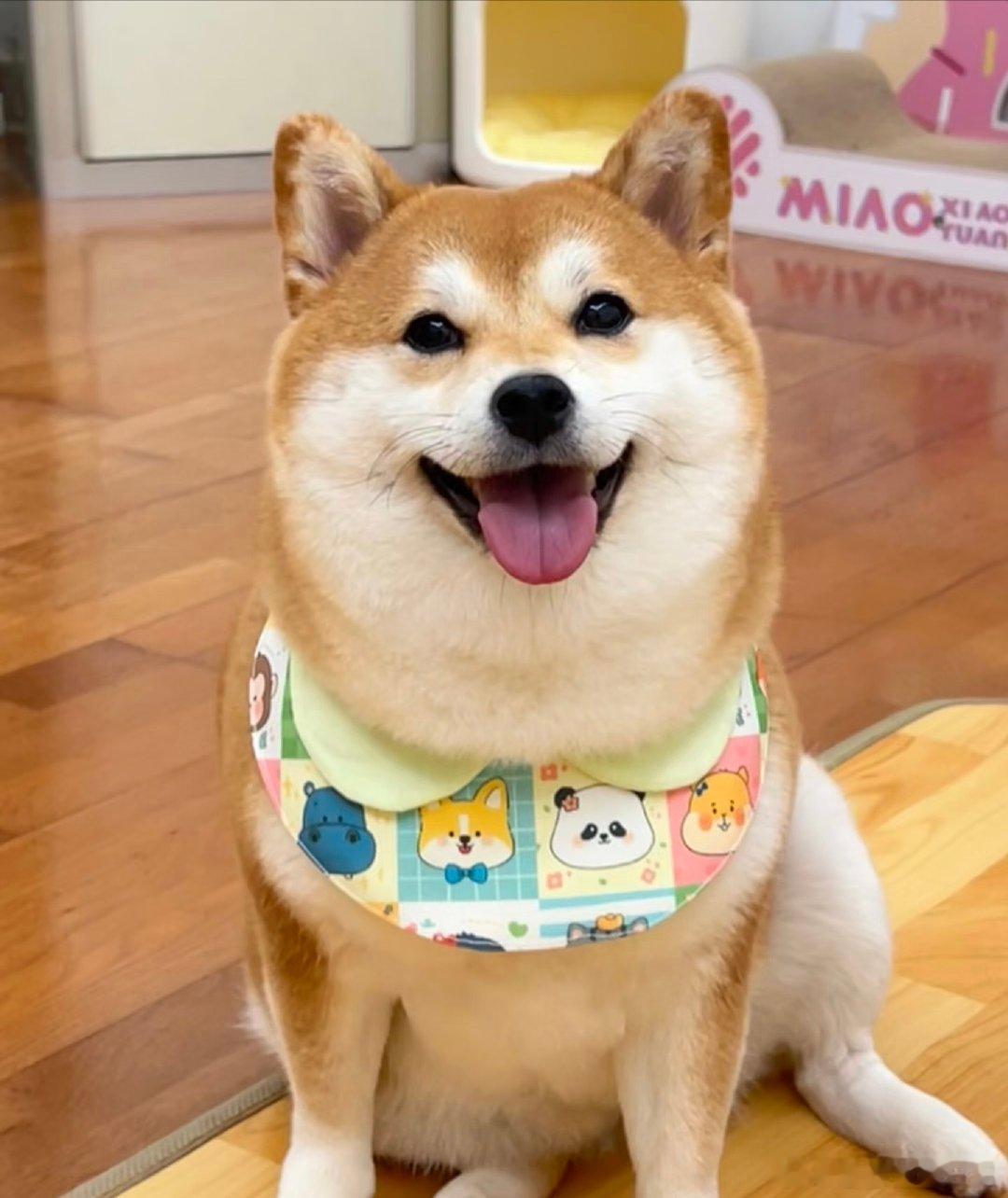外国人视角挑战食物内脏歪果仁第一次见猪大肠直接瞳孔地震！捏着鼻子试探咬一口，下一