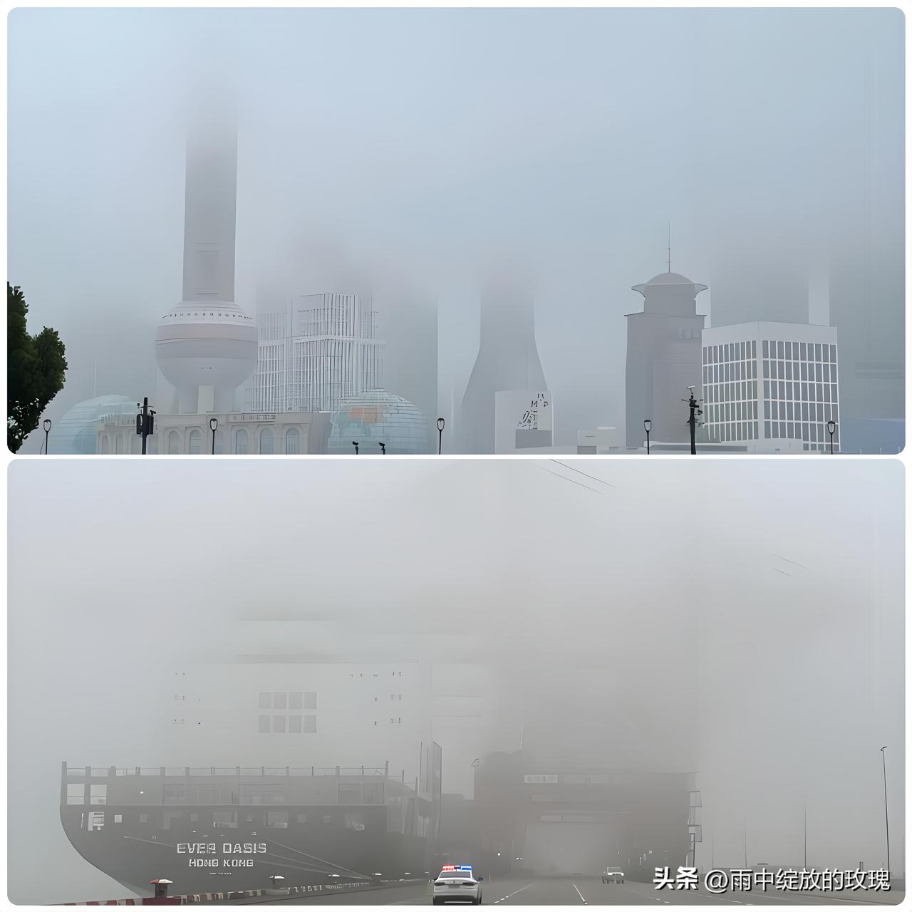 上海大雾刷屏！
高速限速轮渡停航，通勤难却藏着小温暖

谁今早被上海大雾困住了！