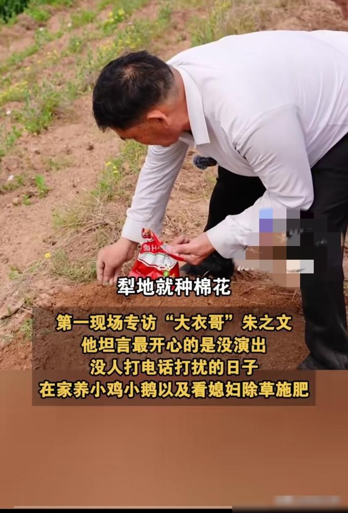 别再可怜朱之文了，他才是那个最顶级的操盘手。
他死守朱楼村，不是蠢，是精。那些