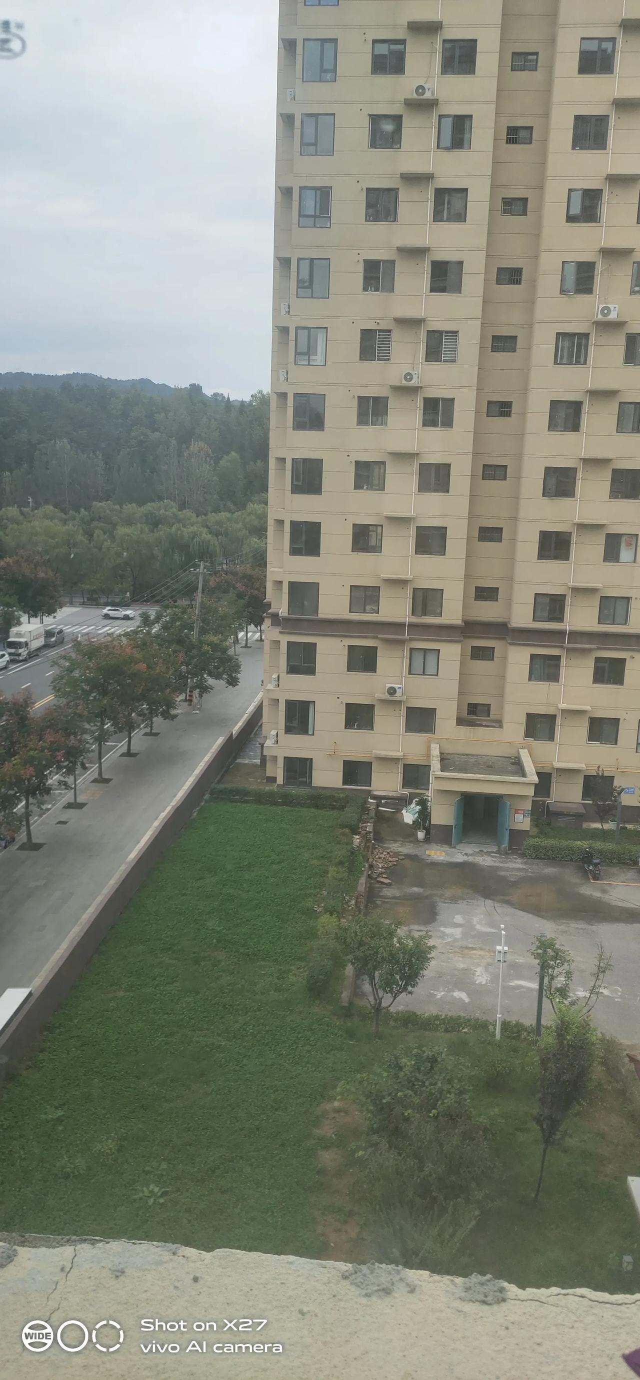 女人没路走的时候，
​就想逮个男人结婚当靠山；
​哪怕日子苦点也图个安稳；
可男
