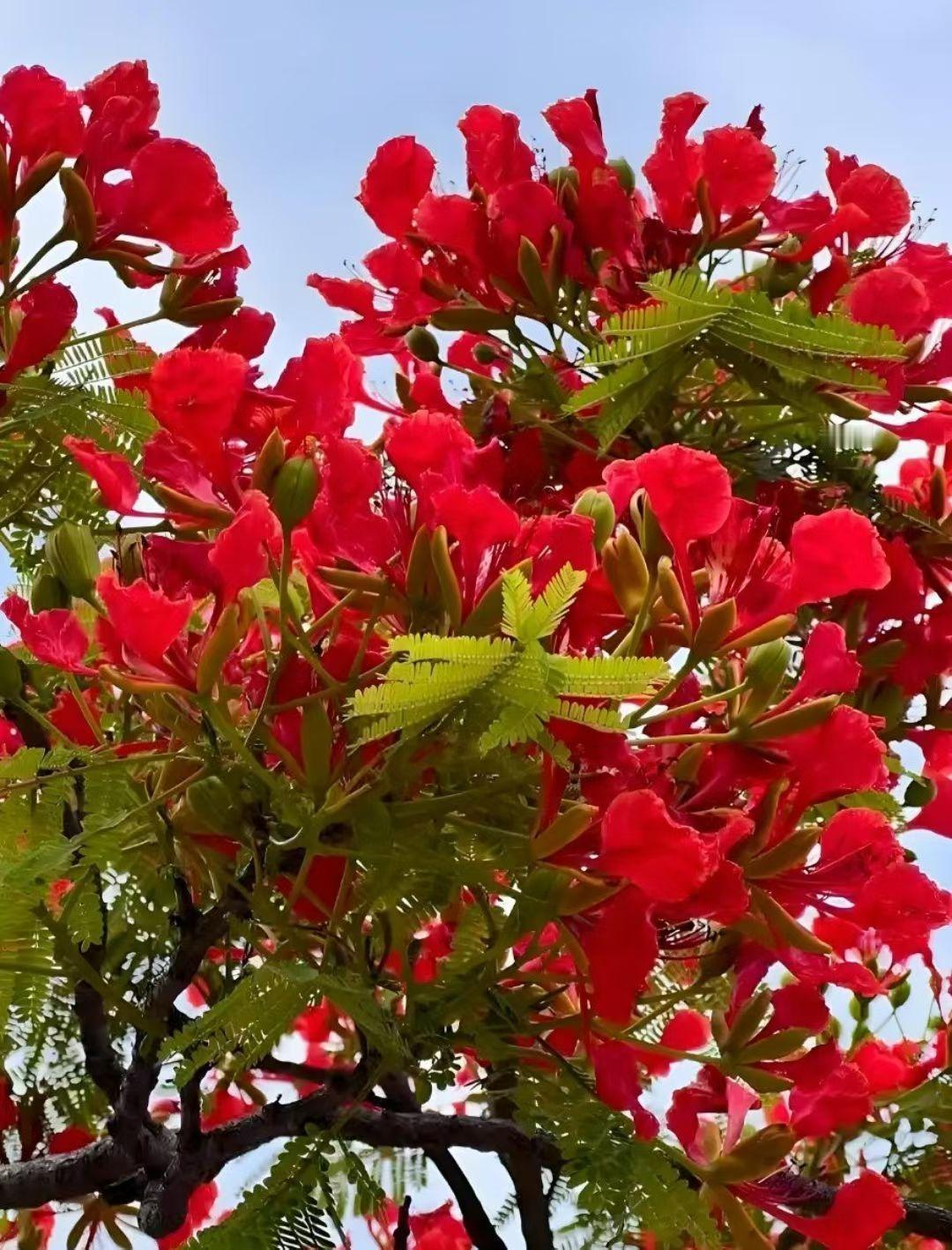 影像·广州 镜头下的广州广州生活看看你拍的广州 晒晒广州广州冬日生活打卡 广州氛