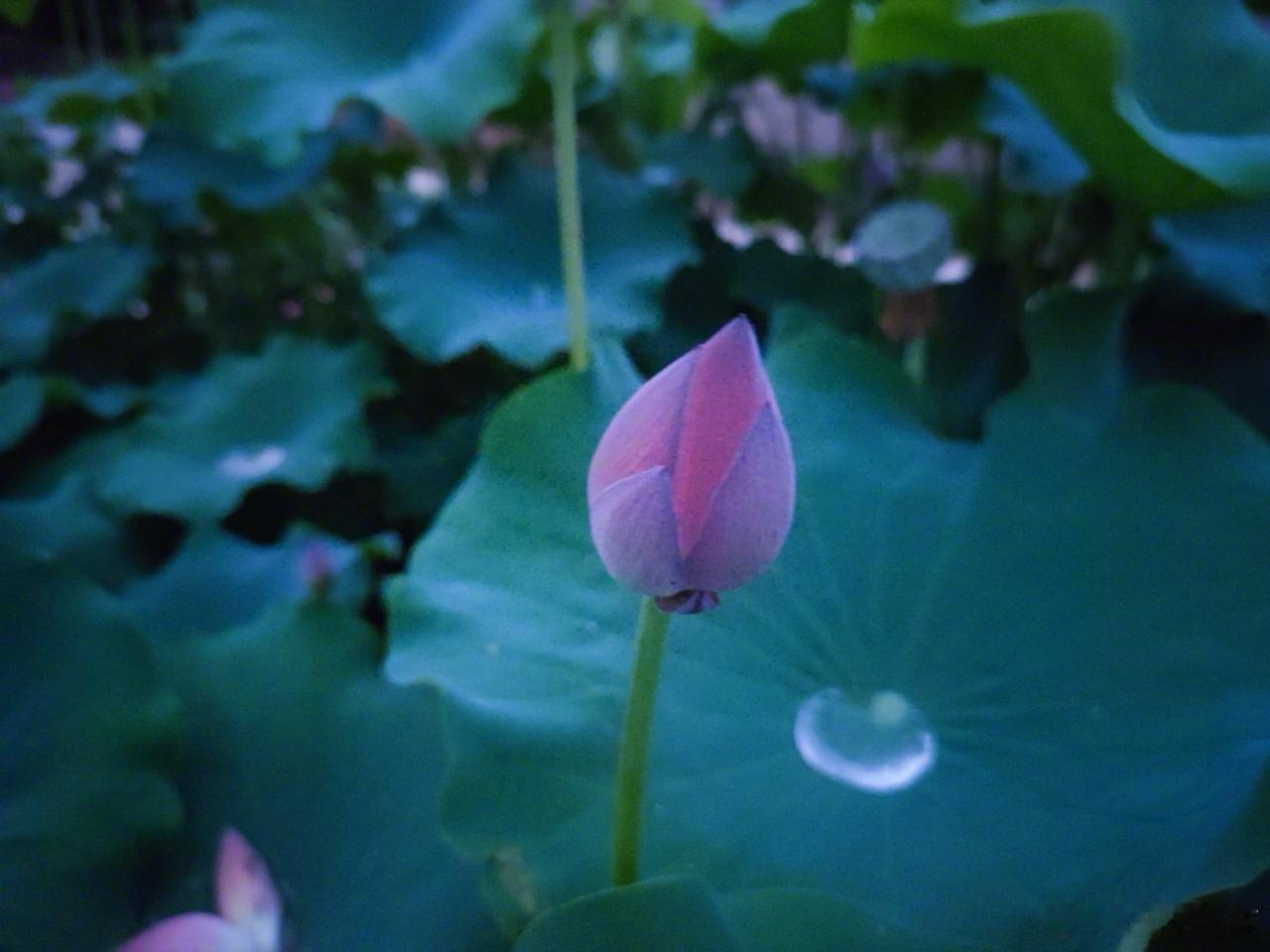 #插队奔驰车主被行拘10日#开车上路，心平气和才能神清气爽反应灵敏眼疾手快，才能