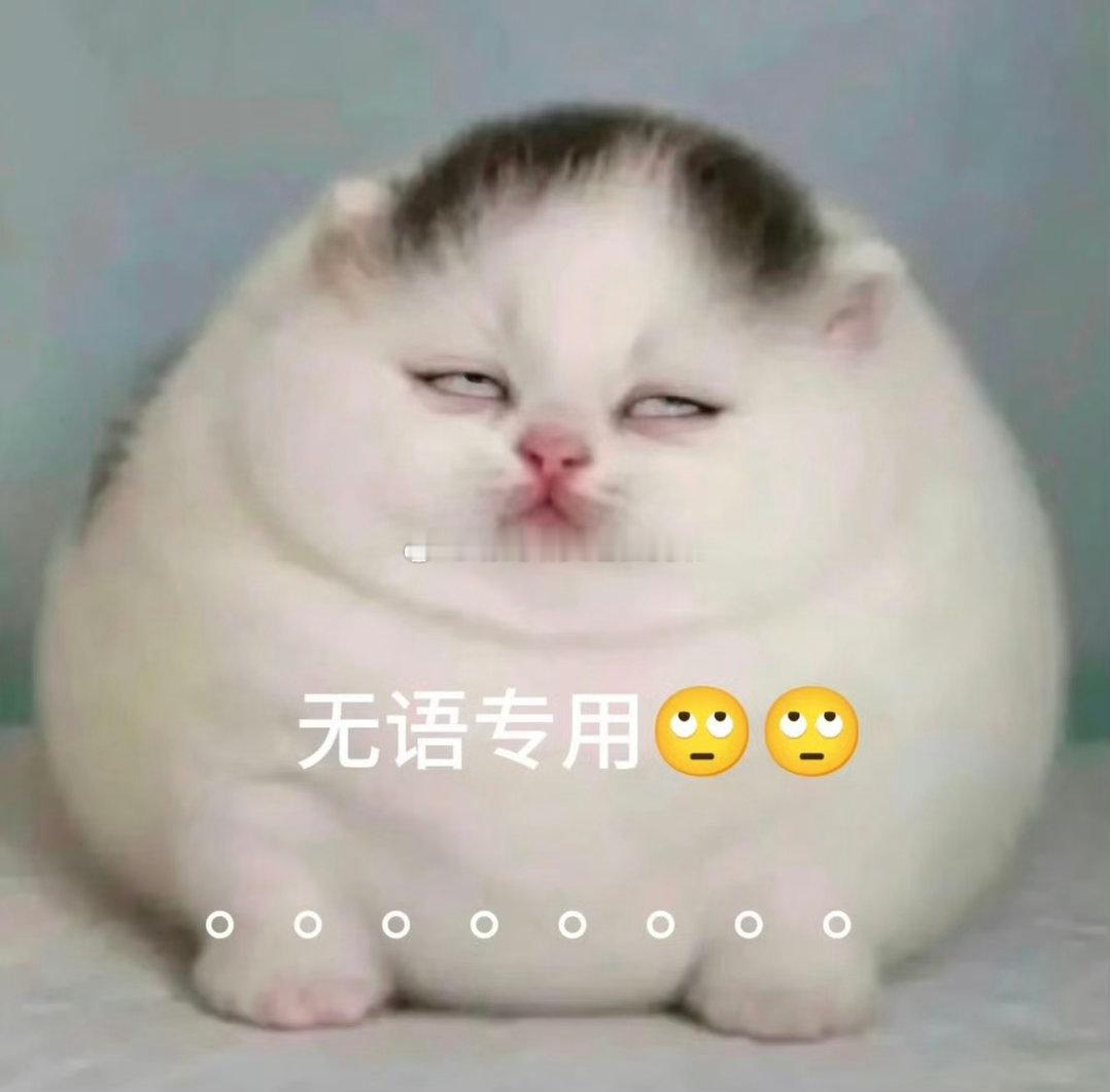 这次回归老琳待遇好差，没心情看了，part多的part多，part不多的染头，就