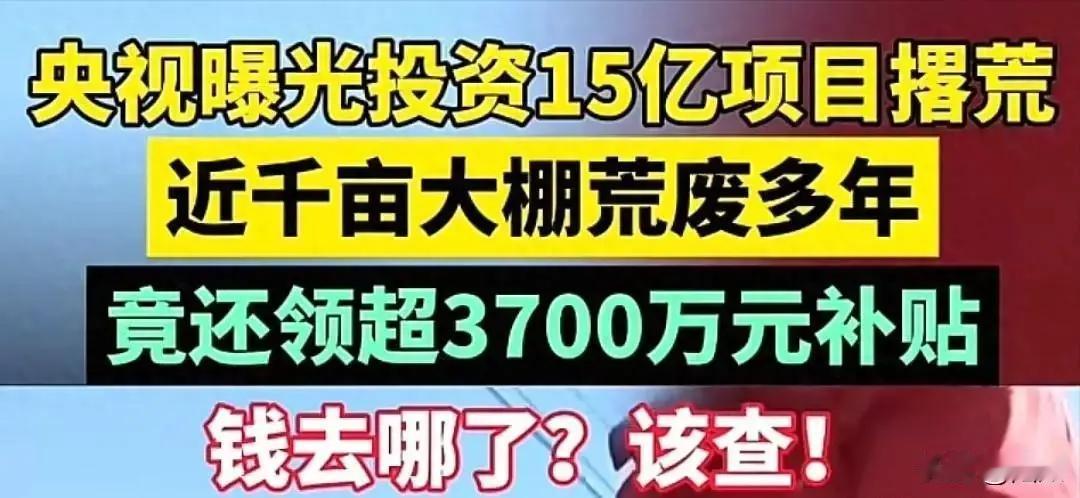蔬菜大棚是空壳、是骗子？关键是要有人吧！

没有人，你空壳一下，你骗一下试试，门