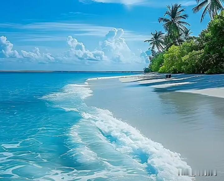 夏日生活打卡季