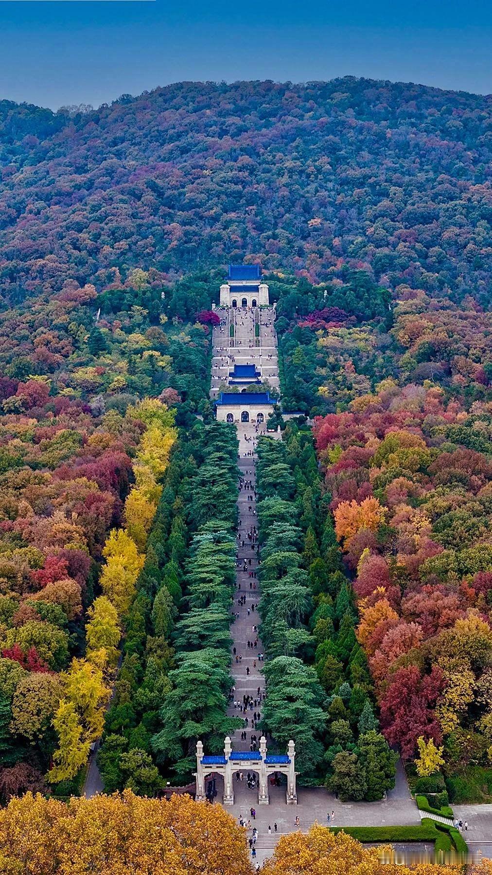 我对南京这项很不满意
作为一个南京人，对南京的绝大部份都是满意的，就是对钟山风景