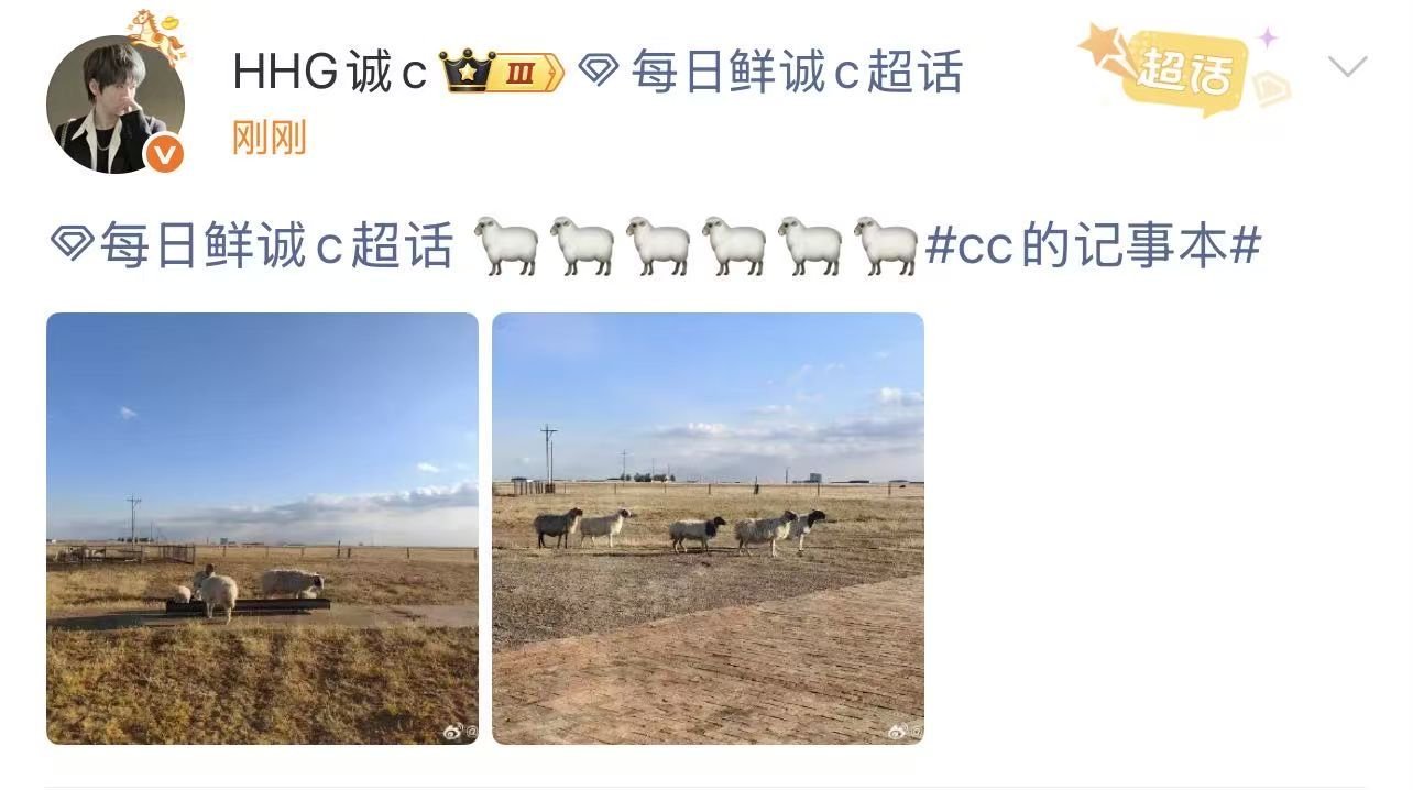 诚c沉浸式看羊 救命诚c也太可爱了！暂时抛开赛场压力，在大草原和小羊贴贴，这状态