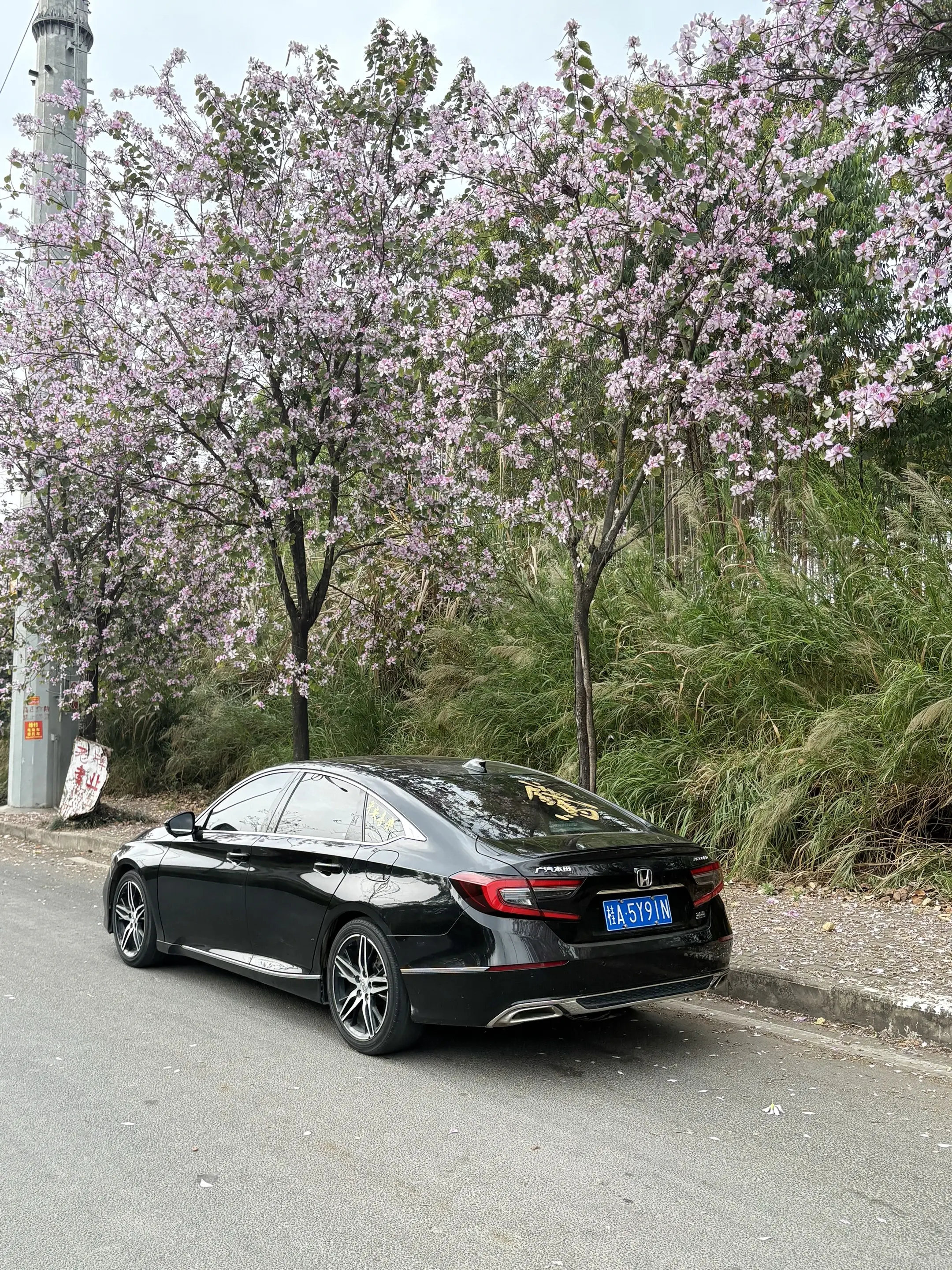 留下瞬间 便是永远