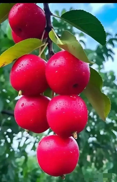 人活一世就三样
 
衣暖身，食暖心，
有家住着才安稳。
只穿衣，算生存，
只吃饭