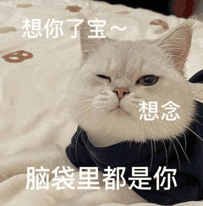 没有任嘉伦的微博   甚至都不知道发什么内容了嘉伦你何时回来啊