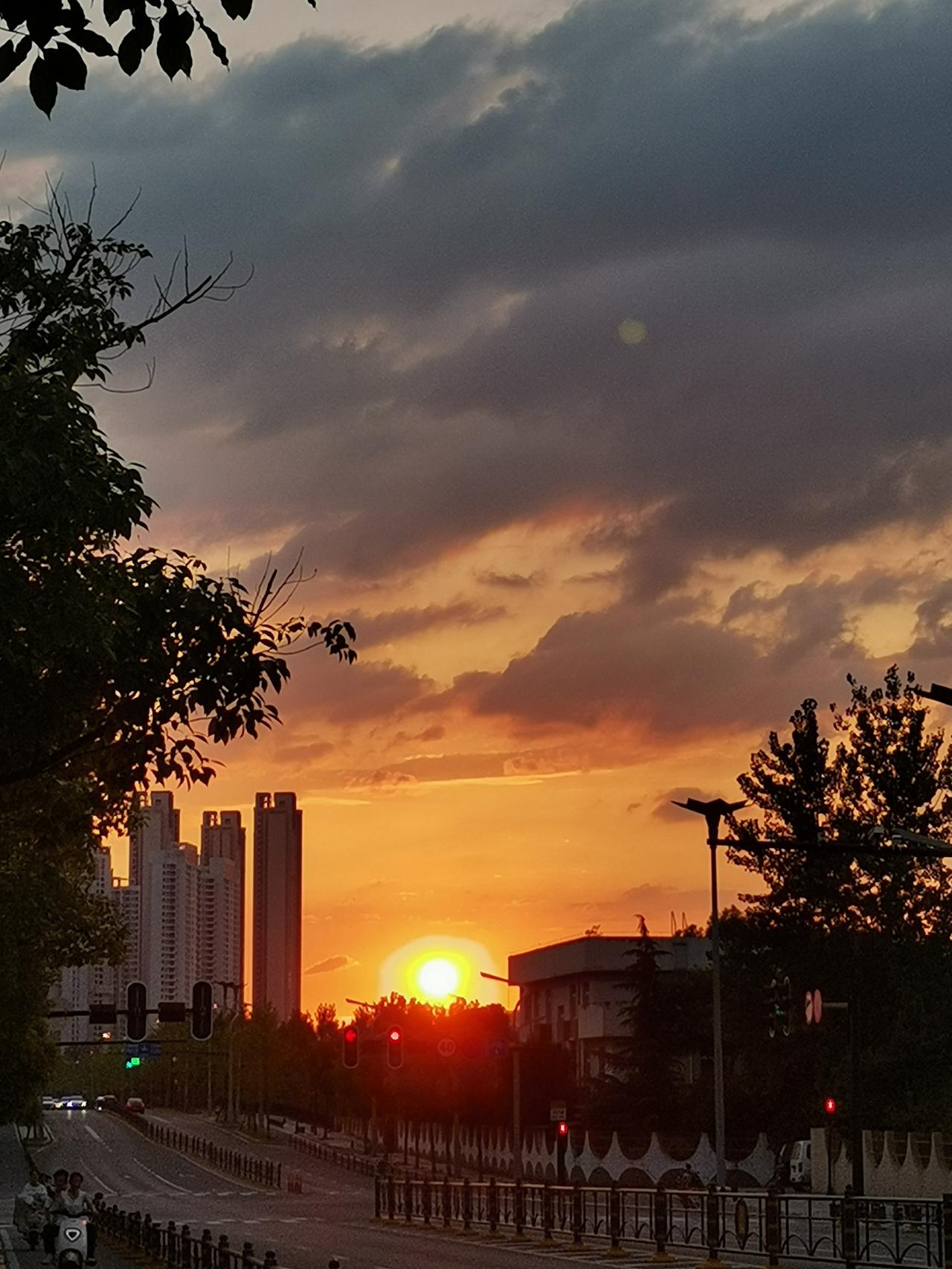 7月10日，武汉的大太阳，不服不行，暴晒，今天下午步行去龙阳大道的卫斌生鲜薅了一