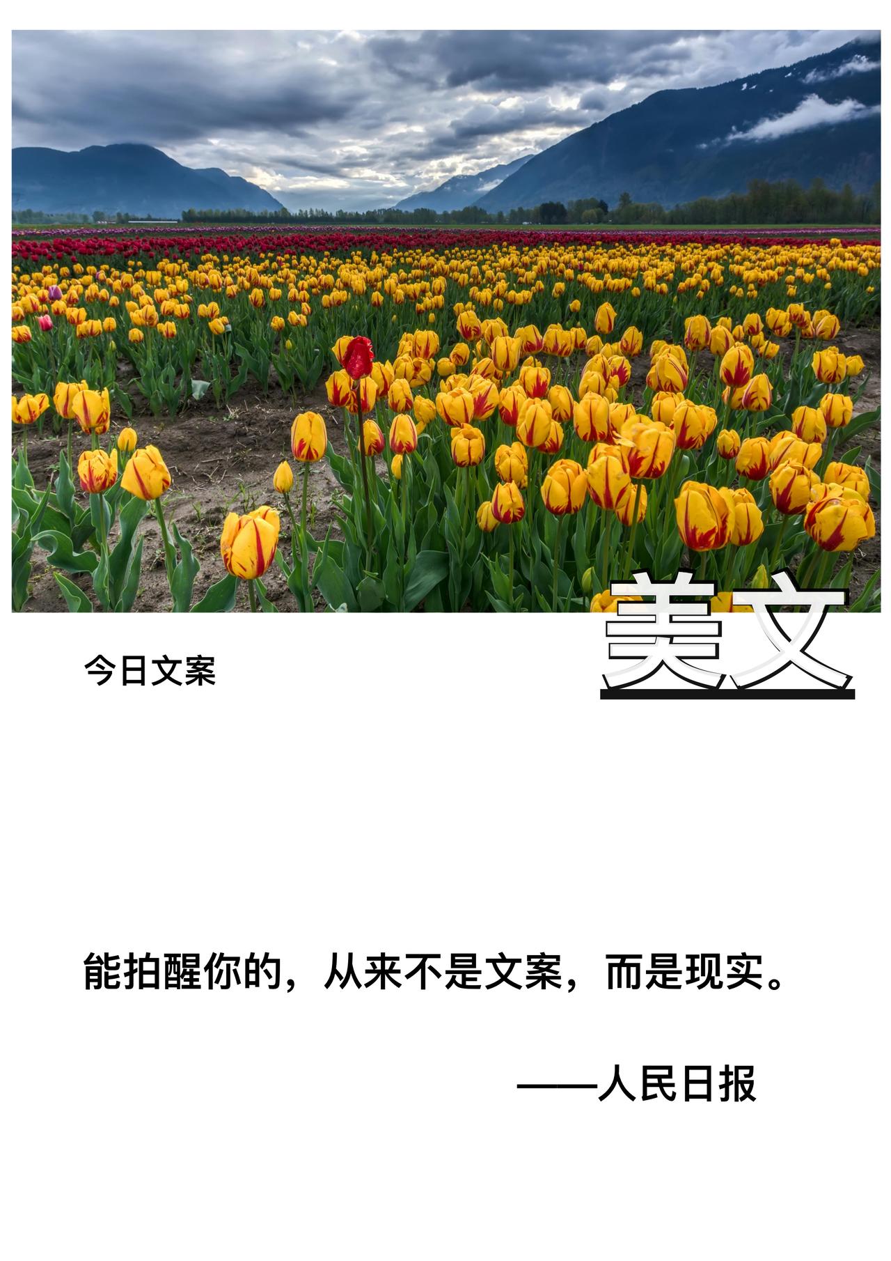 能拍醒你的

从来不是文案

而是现实



                 