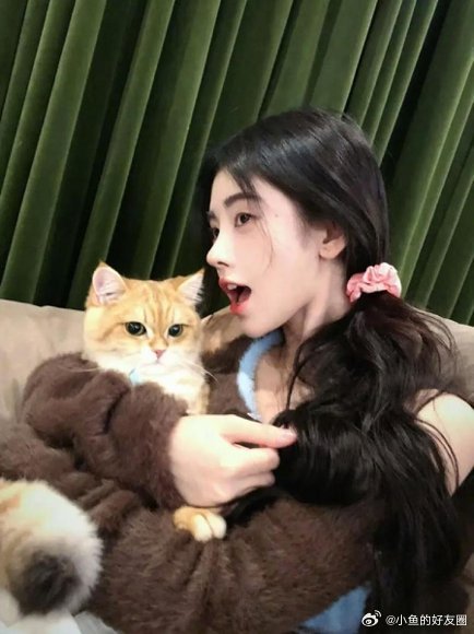 鞠婧祎的猫也有番位看完她家猫番位，我俩猫还在抢一个破纸箱，档次一下拉开了。鞠婧祎