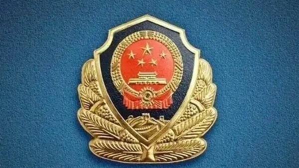 近日，上海浦东警方成功侦破一起侵犯公民个人信息案，抓获3名犯罪嫌疑人。
经查，某