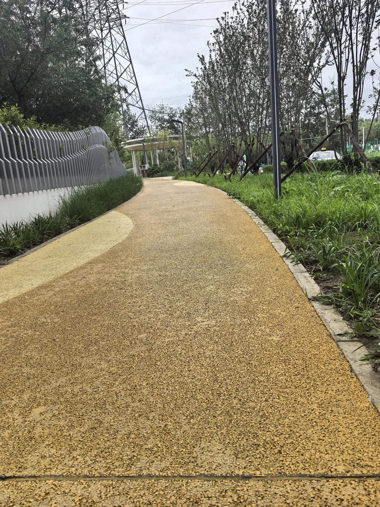 雨后的北京还是很凉爽的
凌晨三点多开始下雨🌧，五点多停了，现在去上班一点都不热