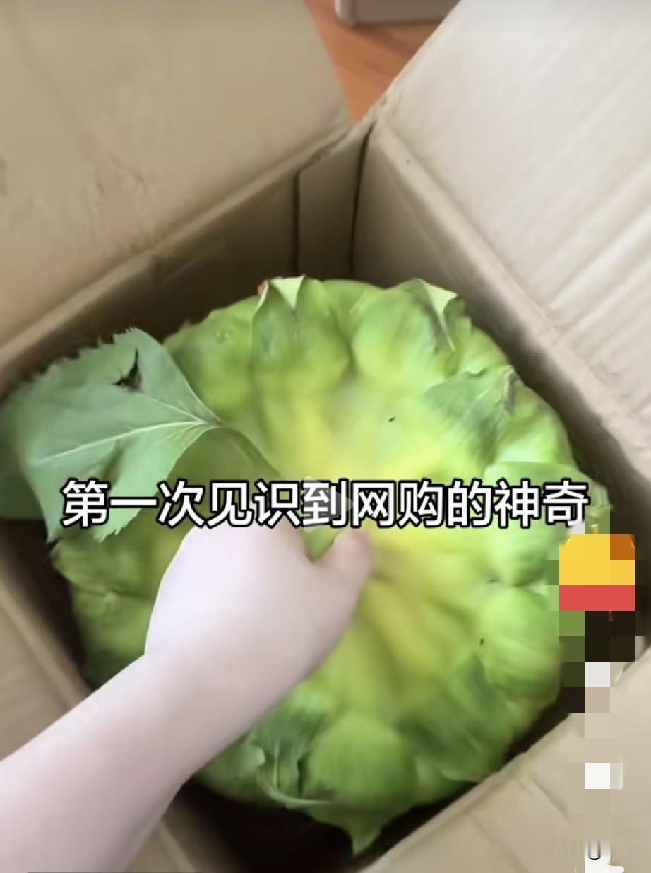 哈哈，网上还有卖向日葵的，这个确实挺神奇的。
这个我也只有小时候见过，已经有好几