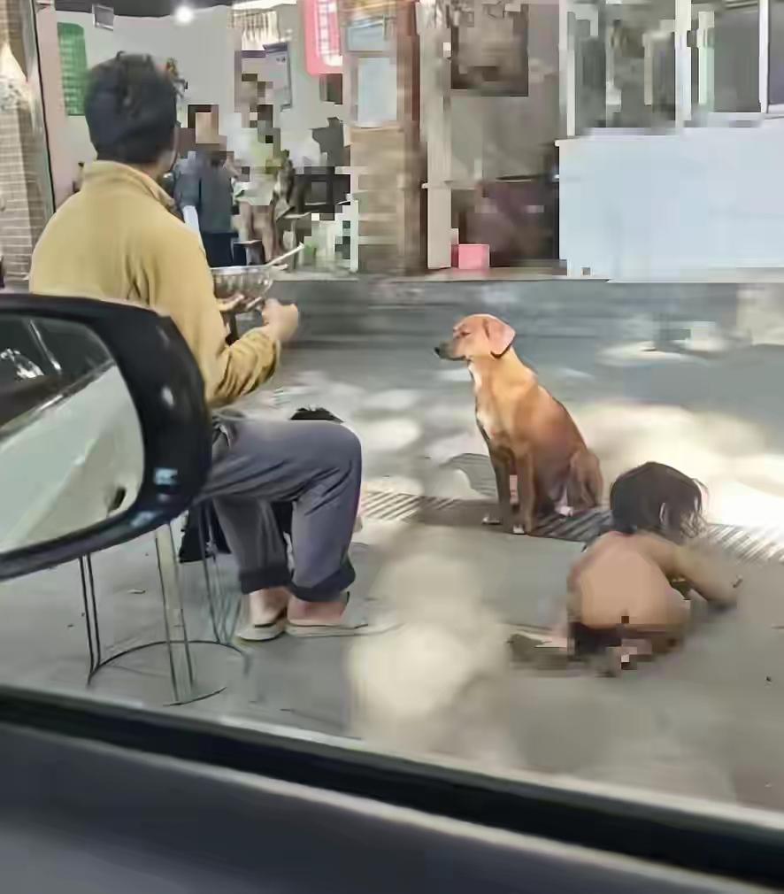 爬行孩子叫乐乐，22年父亲癌症去世了。
现在能救他的只有寻亲，找寻其它的，稍有点