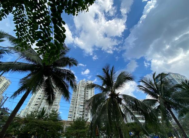 别再误读海南封关！普通人的最大实惠，藏在消费和就业里[太阳]

海南封关不是“关