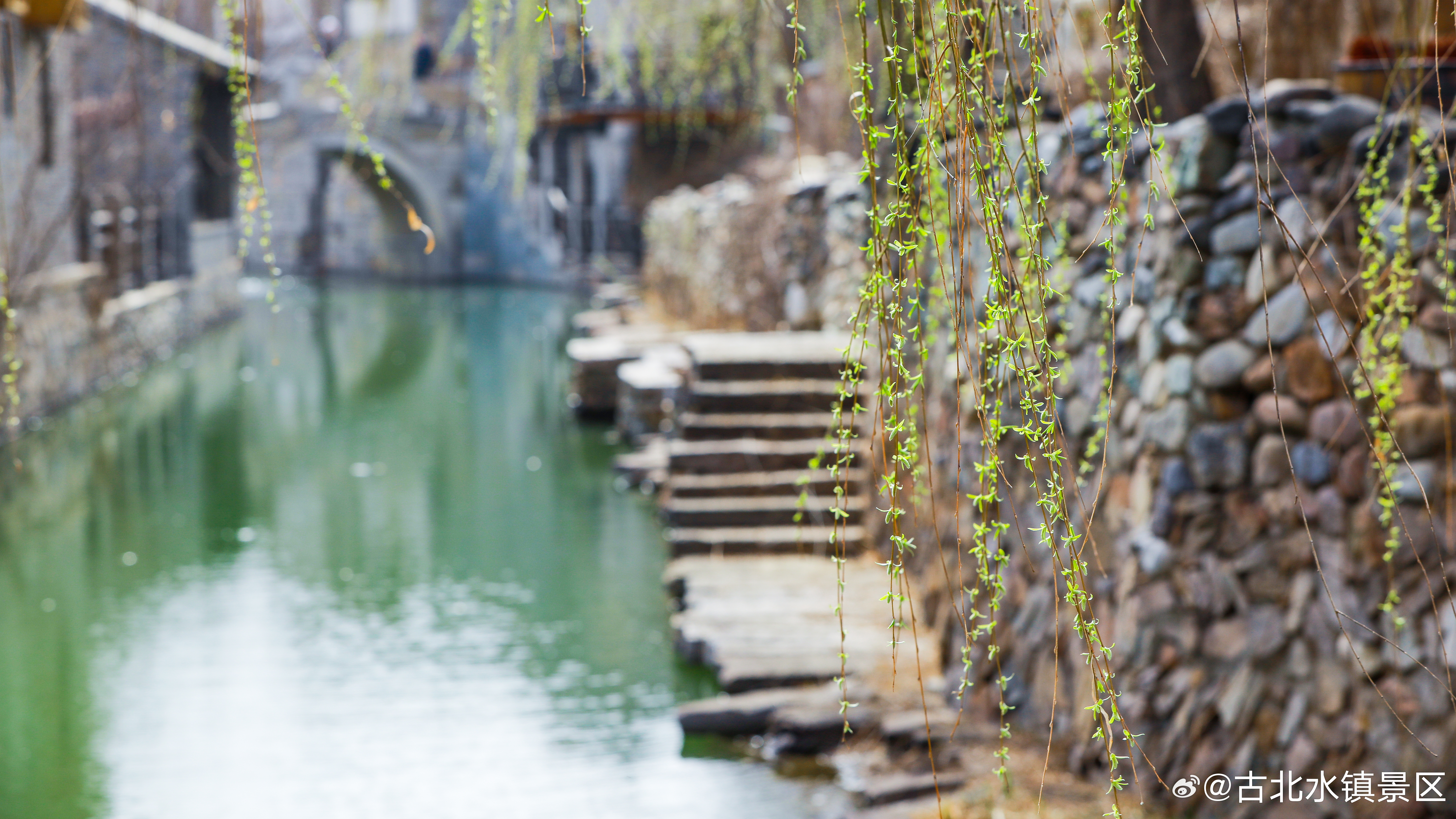 新晨不必匆匆赶路，先和自己道一句早安与温柔相拥，再慢慢前行💛早安，宝子们~#司