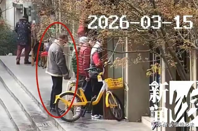 年龄不是免死金牌！上海，女子在菜市场买菜，挑好准备付钱时，一摸口袋钱包没了，女子