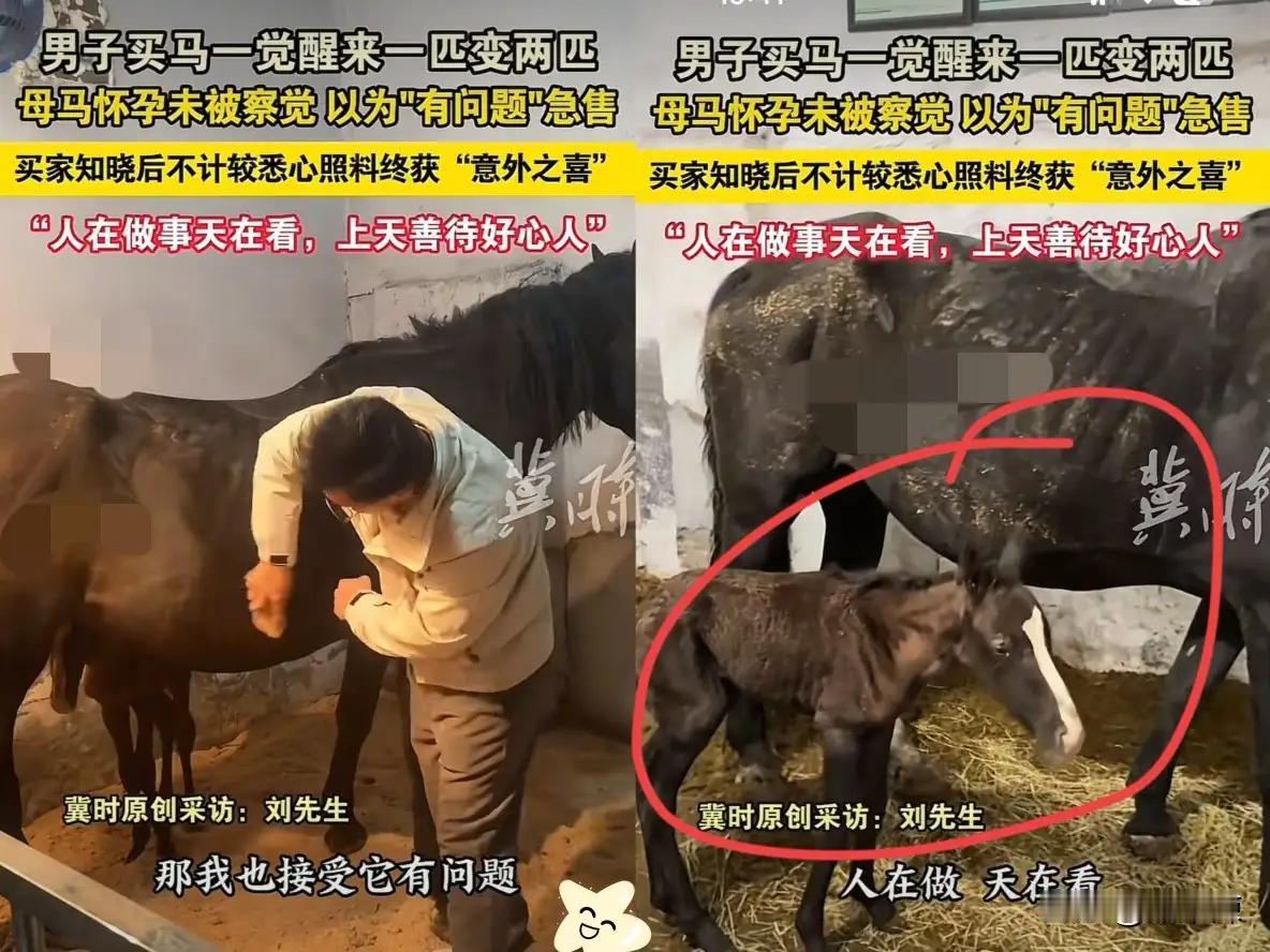 这哪是买一送一？这分明是好人好报的现代童话！

山东淄博的刘先生，恐怕自己都没想