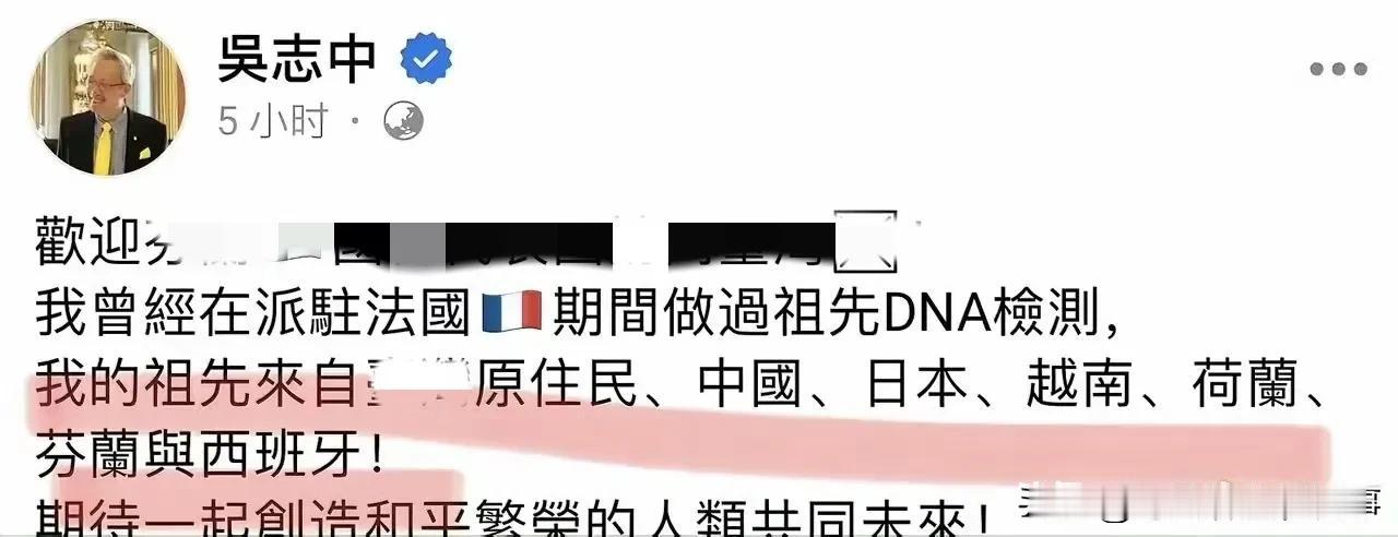 湾湾驻法国代表吴志中十分厌恶自己的中国人外貌，不过经过DNA检测，他发现他的家族