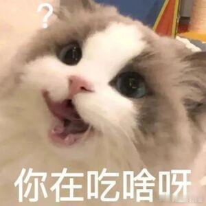 有哪些应该坚持的好习惯？一天中，你忽略了99%的好习惯。  1.早上醒来先别急着