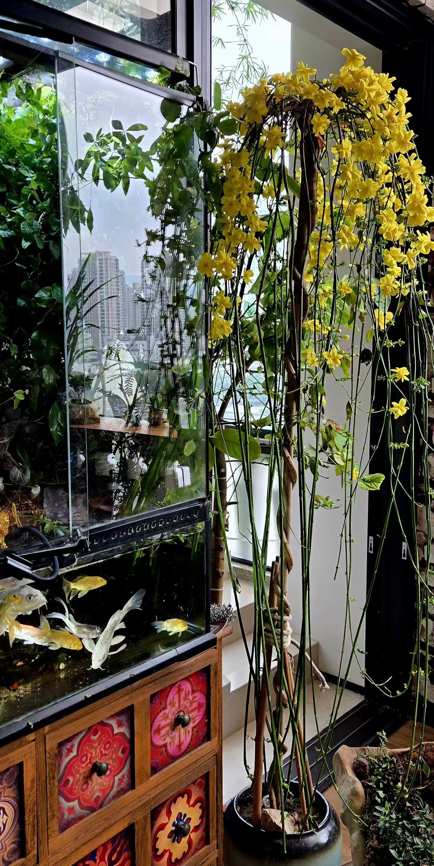 长期主义不是让你非常痛苦地坚持，然后赞颂自己的能忍能扛，长期主义是：更聪明地让自