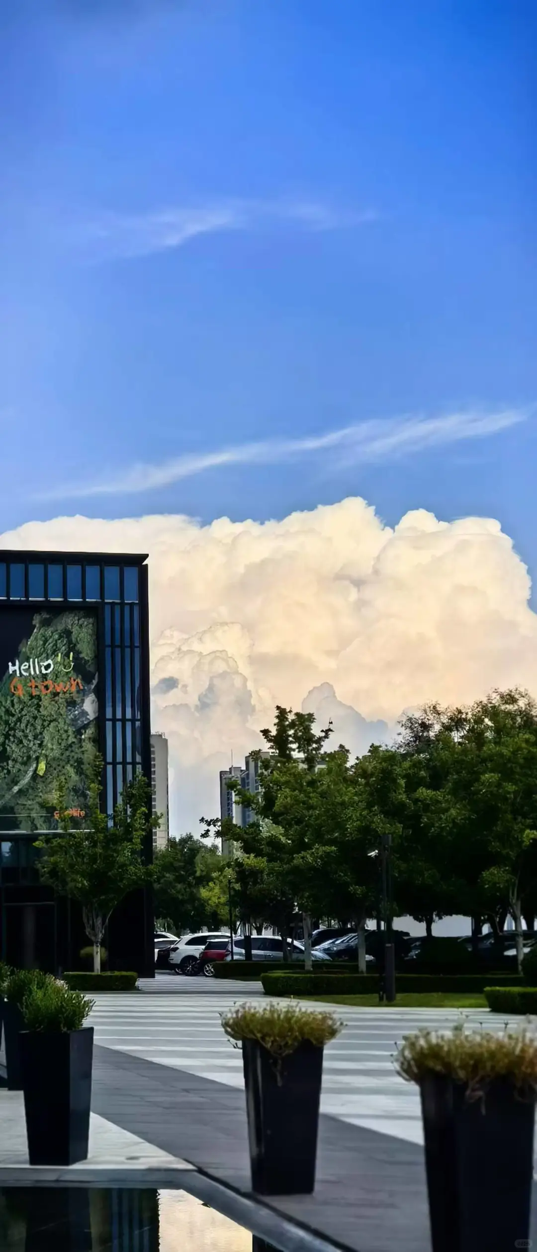 我不小心拍到了潍坊的美景