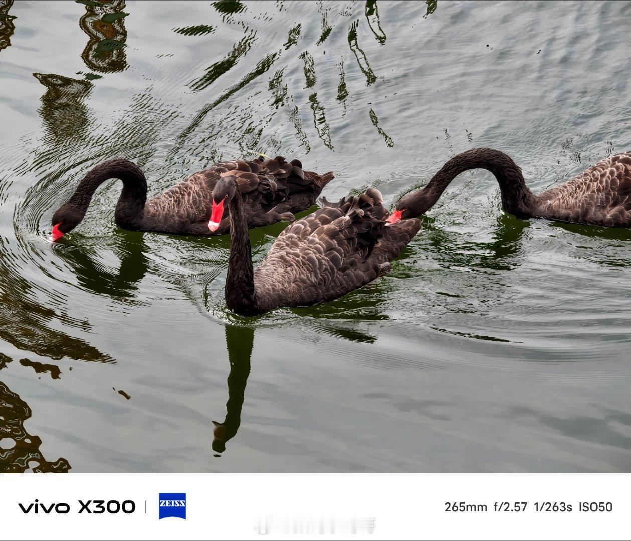 拿着vivo X300随便拍拍～数码小哥哥随拍 ​​​