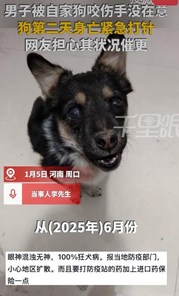 河南周口有个李先生，晚上被自家养了快一年的狗咬伤了手指。当时他没太当回事，觉得自