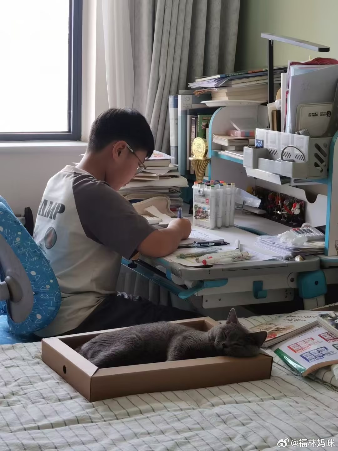 周末家里只有我们三个和猫哥哥猫[喵喵]陪着，妹妹我陪着；都在认真的写作业[上课了