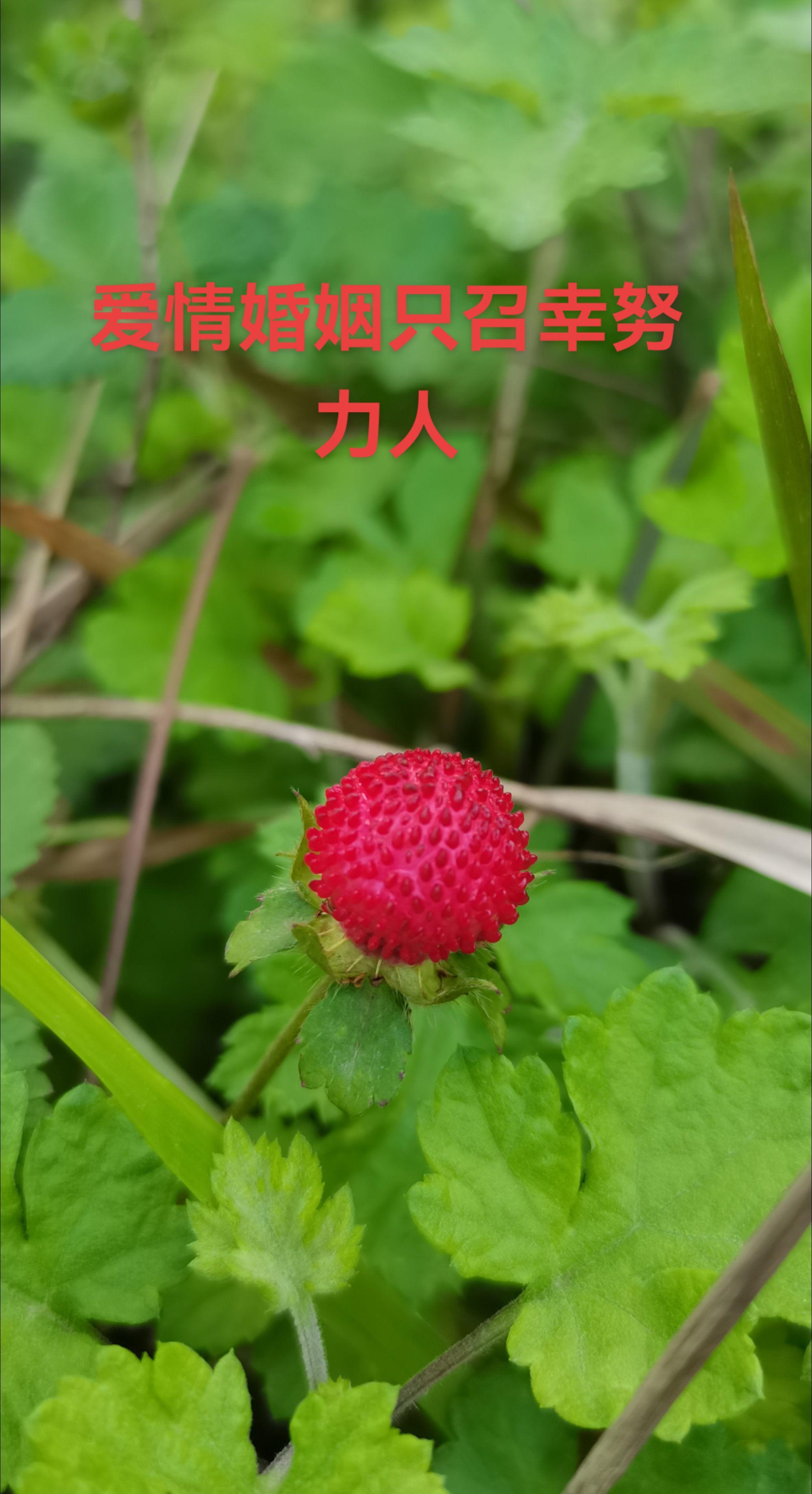 爱情婚姻只眷顾努力人，坐等缘分纯属空谈。前天侄儿来我家拜访，他二十一岁...