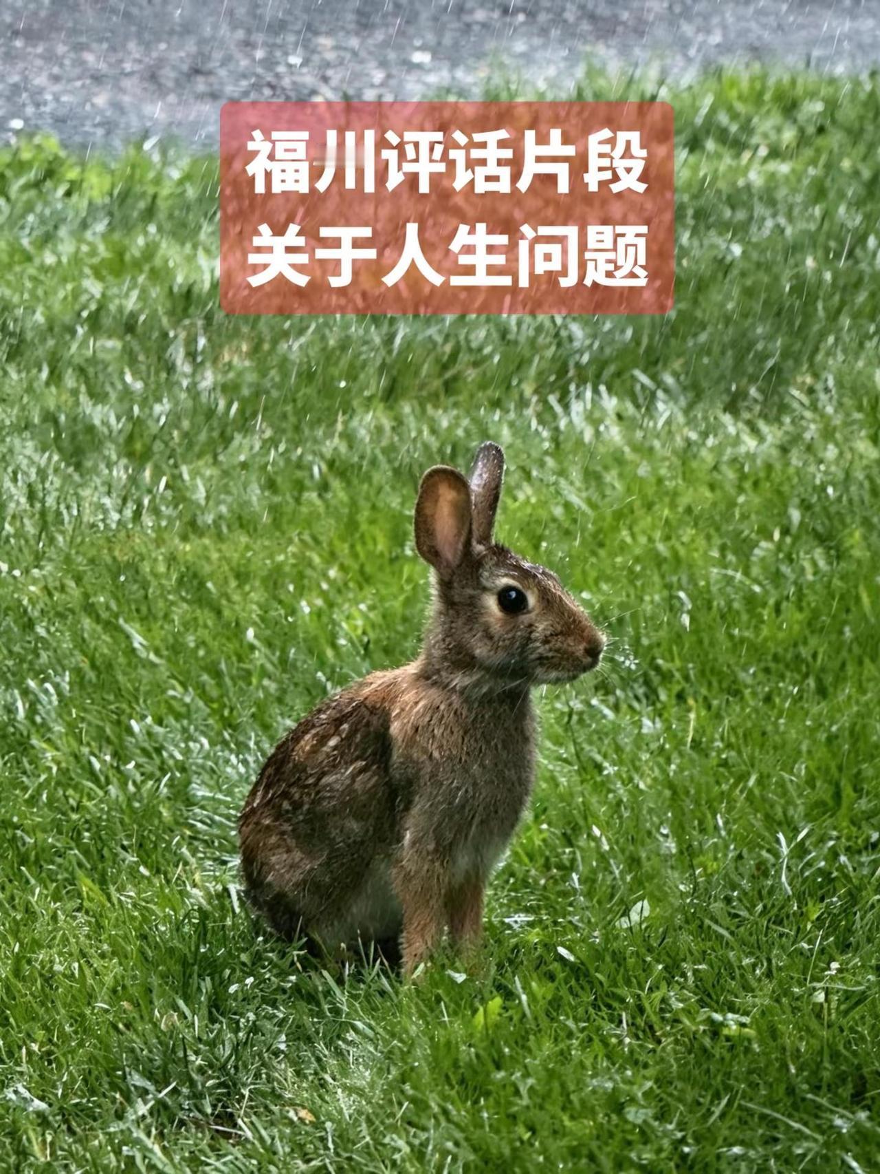 录一段福州评话关于人生事的讲说……